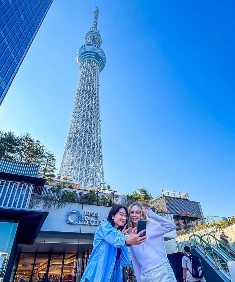 Tokyo Private Tour English Pro Guide By Luxury Vehicle - Shibuya Crossing and Fashion Shops: How to Time a Crowd-Heavy Area