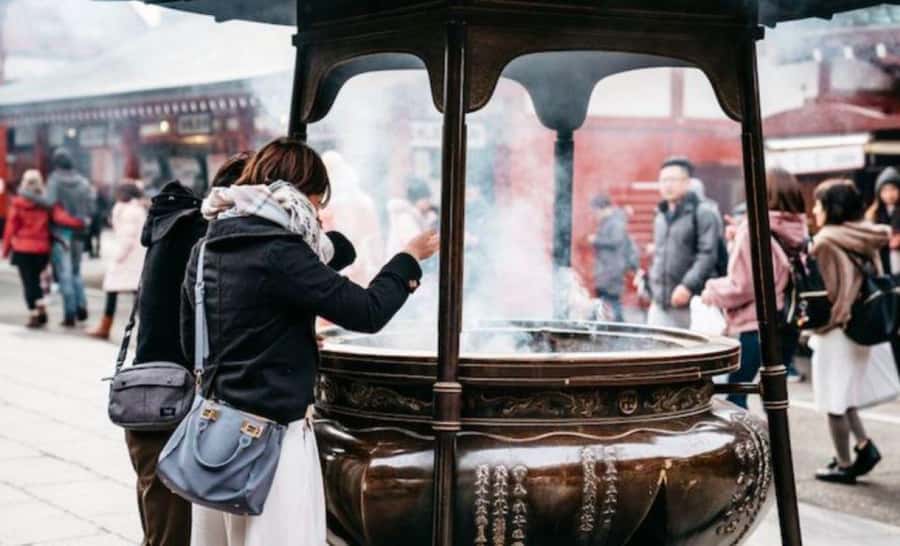 Tokyo Private Tour English Pro Guide By Luxury Vehicle - Tsukiji Fish Market vs. Imperial Palace Gardens: Choose Your Flavor