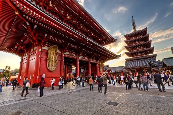 Tokyo Private Tour in Luxury Vehicle with English Guide - Skytree and Tokyo Tower: Choose Your View Style