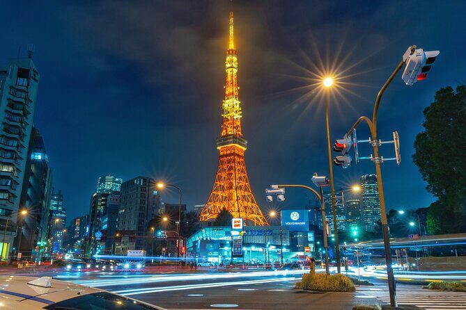 Tokyo Private Tour in Luxury Vehicle with English Guide - Meiji Shrine: The 70-Hectare Forest Effect
