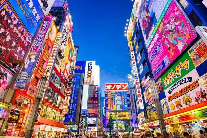 Tokyo Private Tour With English Speaking Driver - The price and value: $335 per group up to 5