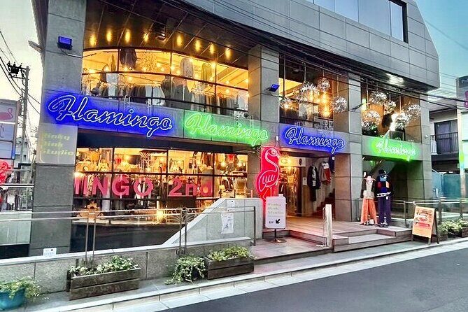 Tokyo Private Vintage Shopping Tour in a Town of youth culture - Shimokitazawa style: why this vintage route works