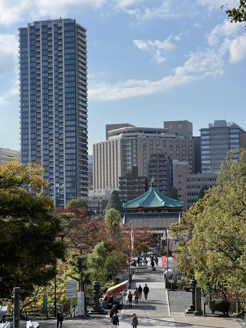 TOKYO Private visit guide Speaking French - Key Takeaways Before You Go
