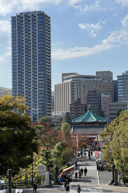 TOKYO Private visit guide Speaking French - Getting Transit Right: Metro Cards and JR Pass Help