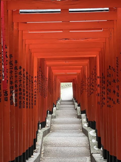 TOKYO Private visit guide Speaking French - What the 5-Hour Tokyo Walk Actually Covers