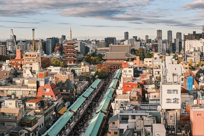 Tokyo: Private Walking Tour with a Local Guide - Ueno’s temples, museums, and the easy-to-fall-in market zone