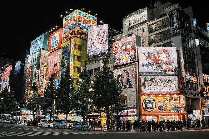 Tokyo: Private Walking Tour with a Local Guide - Akihabara: where anime culture meets electronics shopping logic