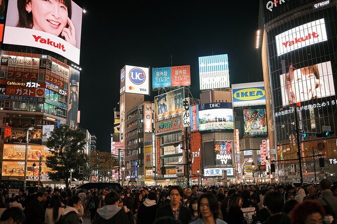 Tokyo: Private Walking Tour with a Local Guide - Shibuya crossing and Hachiko: the famous stop with context