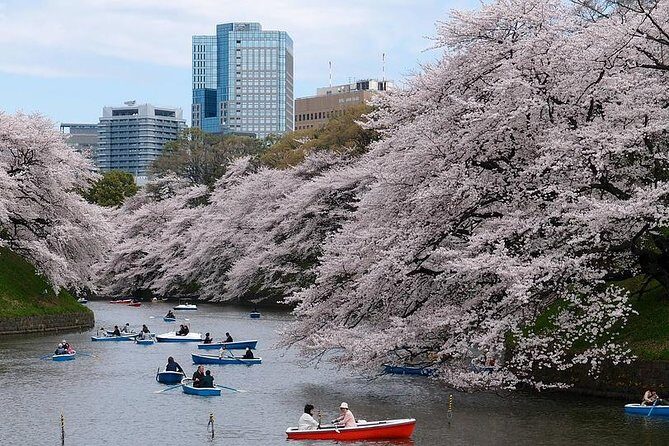 Tokyo Private Walking Tour with a Local - How your customized route gets built (and how to steer it)