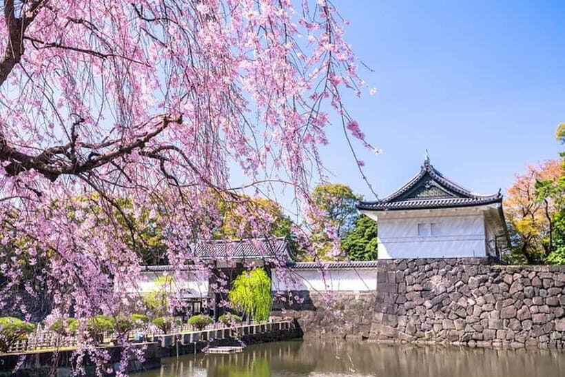 Tokyo: Pvt. Tour - Edo Castle & Imperial Palace East Gardens - Edo Castle Ruins: The Power Behind the Stone Walls