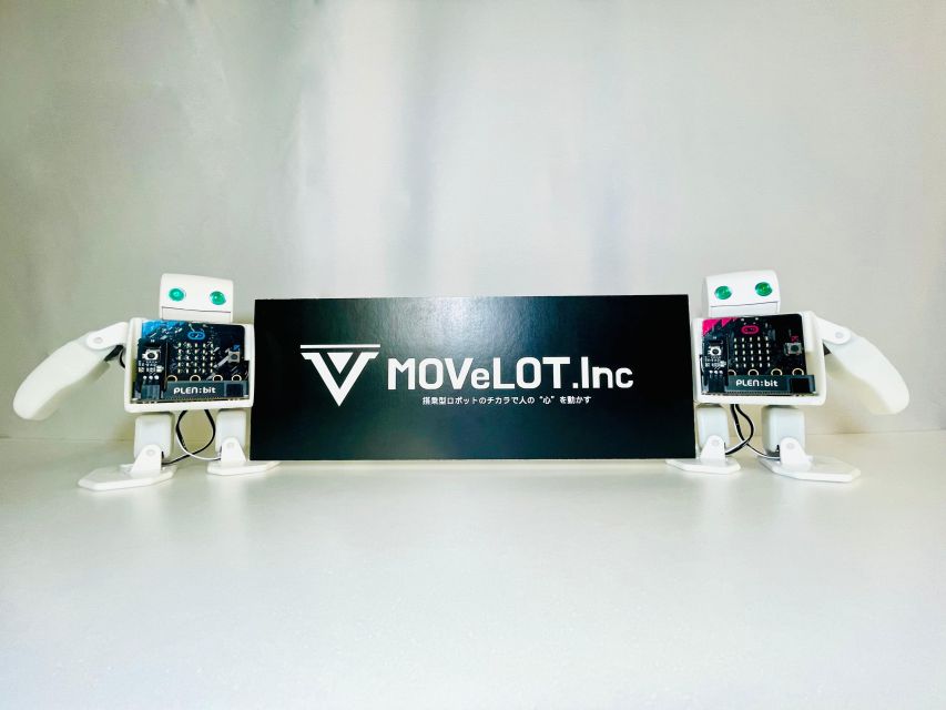 Tokyo: Robot Piloting Attraction Ticket - Who This Is Best For (And Who Should Skip It)