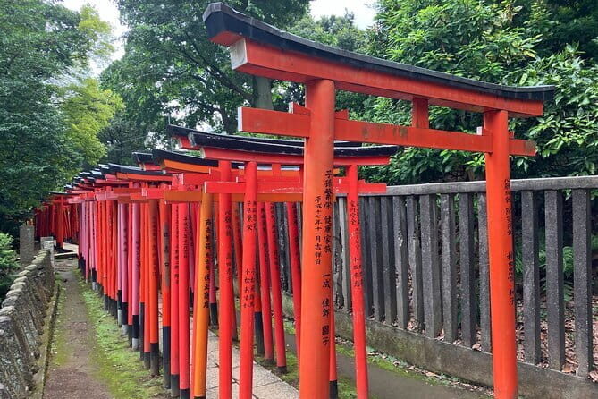 Tokyo Samurai Experience - Who this tour fits best (and who should consider another plan)