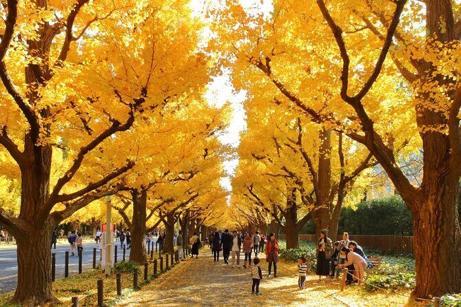 Tokyo Self-Guided Audio Tour - How the Tokyo self-guided audio route works (and why it feels freer)
