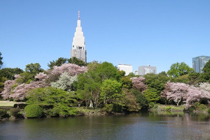 Tokyo Self-Guided Audio Tour - Practical tips so the audio matches where you are