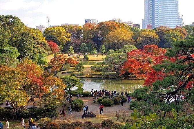 Tokyo Self-Guided Audio Tour - Who this Tokyo self-guided tour is best for