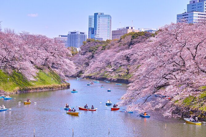 Tokyo Self-Guided Audio Tour - Price and value: what $9 buys you in Tokyo