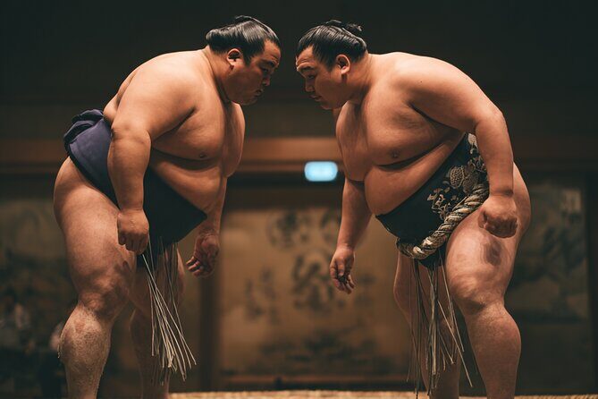Tokyo Shinjuku Sumo Show and Experience with Drinks and Photo - Up Close Sumo in Shinjuku: why this club setup works