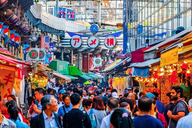 Tokyo Shopping Street Hopping Private Tour with Government Licensed Guide - Ameyoko: Market Energy Along the Tracks
