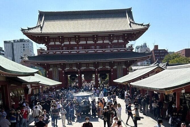 Tokyo Sightseeing/ City Tour by Private Car with English Guide - Why this private car tour is such a smart way to see Tokyo