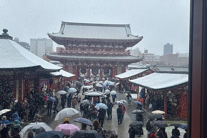 Tokyo Sightseeing/ City Tour by Private Car with English Guide - Tokyo Tower, Takeshita Street, and Shibuya Crossing: a big finish with real Tokyo energy
