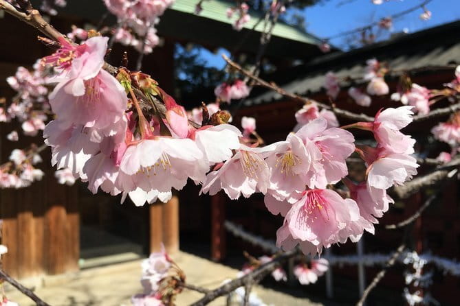 Tokyo Spring Daytime (Cherry Blossom) Food Tour - Start at Coffee Room Renoir Nippori Yanaka and Get Your Bearings