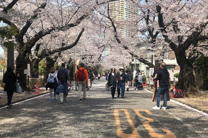 Tokyo Spring Daytime (Cherry Blossom) Food Tour - 2.5 Hours, Light-to-Moderate Pace, and a Max of 10