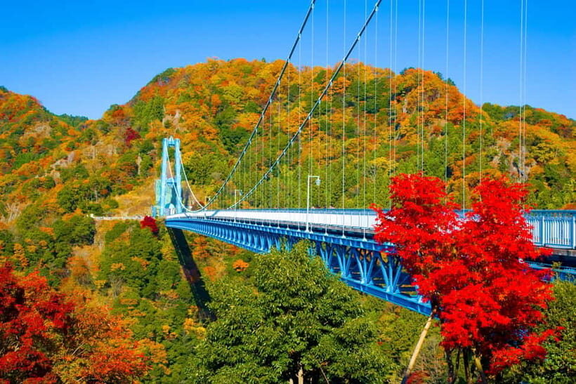 Tokyo: Spring Hitachi Seaside & Ashikaga Flower Park Tour - How the Day Fits Together (Without Feeling Rushed)