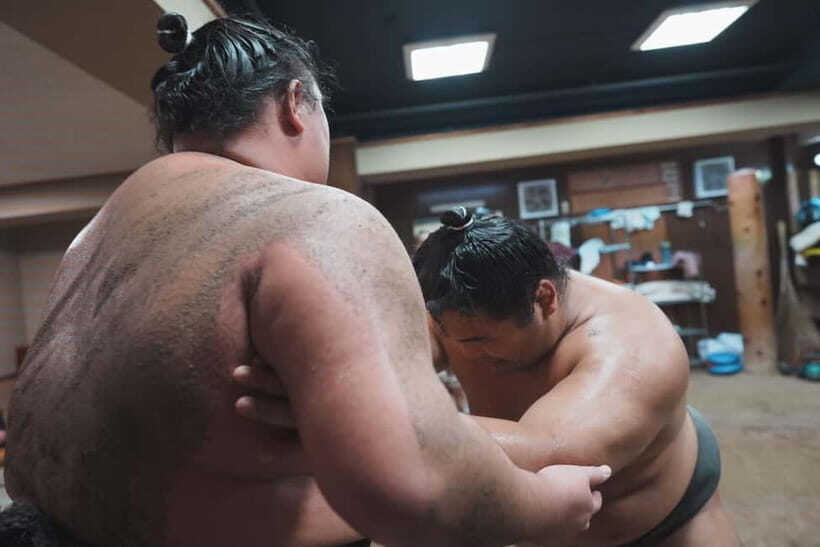 Tokyo: Sumo Keiko Training Tour with Audio Guide & Photo - Comfort and Practical Extras Inside Tokyo’s Sumo World