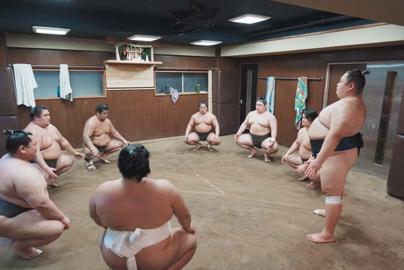 Tokyo: Sumo Keiko Training Tour with Audio Guide & Photo - Who Should Book This Sumo Keiko Tour?