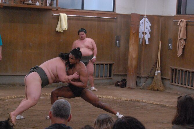 Tokyo: Sumo Morning Practice -Stable Visit Tour with a Guide - The Photo and Video Rules You Must Follow (No Flash, No Video)