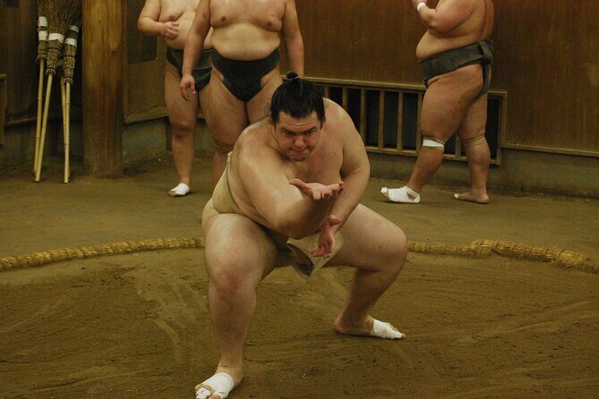 Tokyo: Sumo Morning Practice -Stable Visit Tour with a Guide - Price and Value: Is $82 Reasonable for This Kind of Sumo?