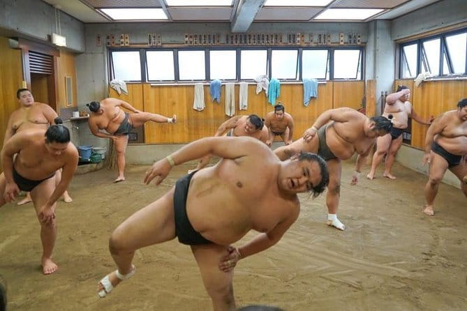 Tokyo Sumo Morning Practice Tour w/ Ring-Side Seat + Photo Shoot - Practical rules that will save you stress inside the stable