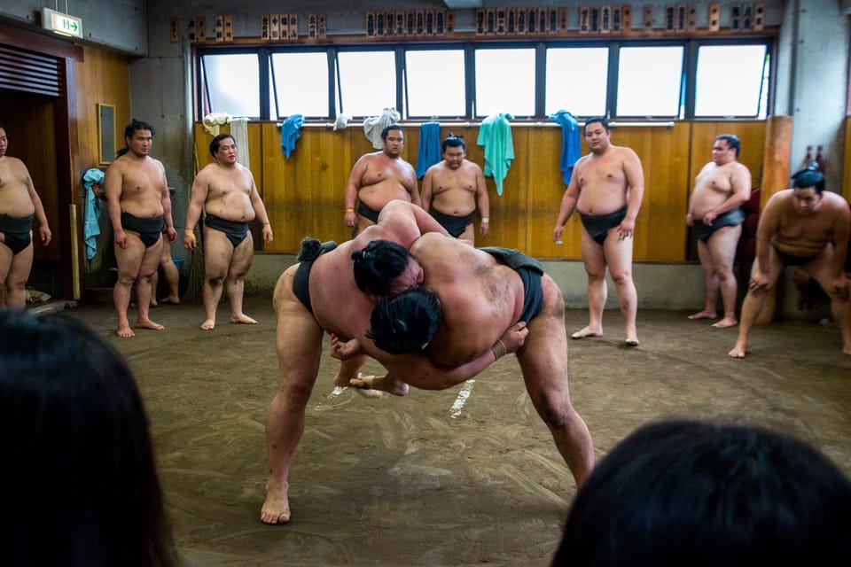 Tokyo: Sumo Morning Practice Viewing Tour - Key things that make this sumo morning tour worth it
