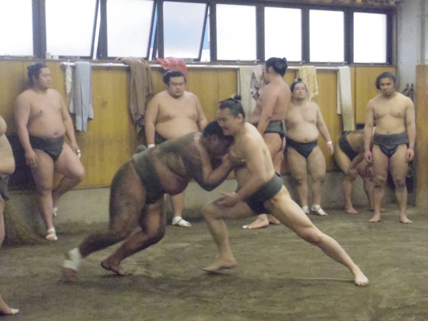 Tokyo: Sumo Morning Practice Viewing Tour - Who this tour is best for (and who should skip)