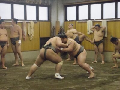 Tokyo: Sumo Morning Practice Viewing Tour - Getting there: meet-up, the short transit, and the timing window