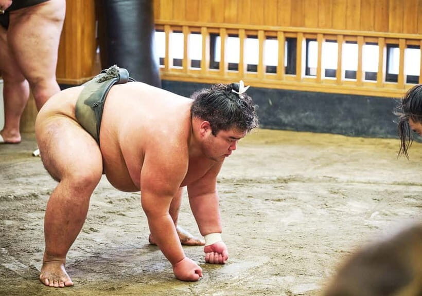 Tokyo: Sumo Morning Practice Viewing Tour at a Real Stable - Key highlights at a glance