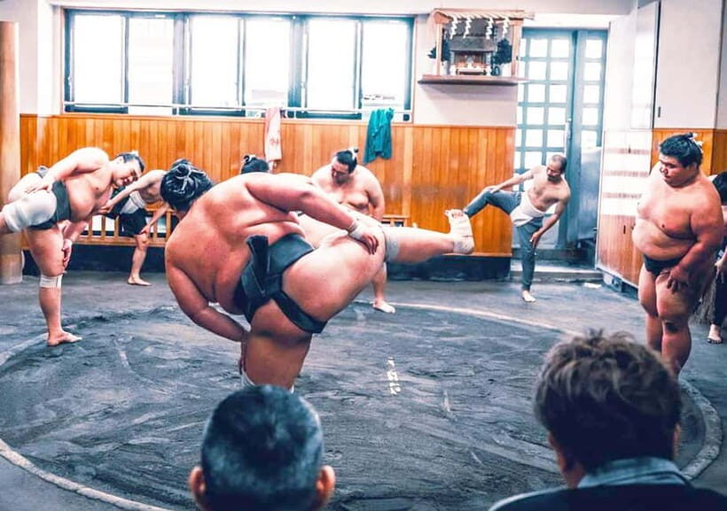 Tokyo: Sumo Morning Practice Viewing Tour at a Real Stable - Who this tour suits best (and who should skip it)