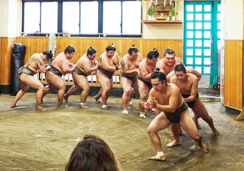 Tokyo: Sumo Morning Practice Viewing Tour at a Real Stable - The 2-hour window: what the practice viewing really feels like
