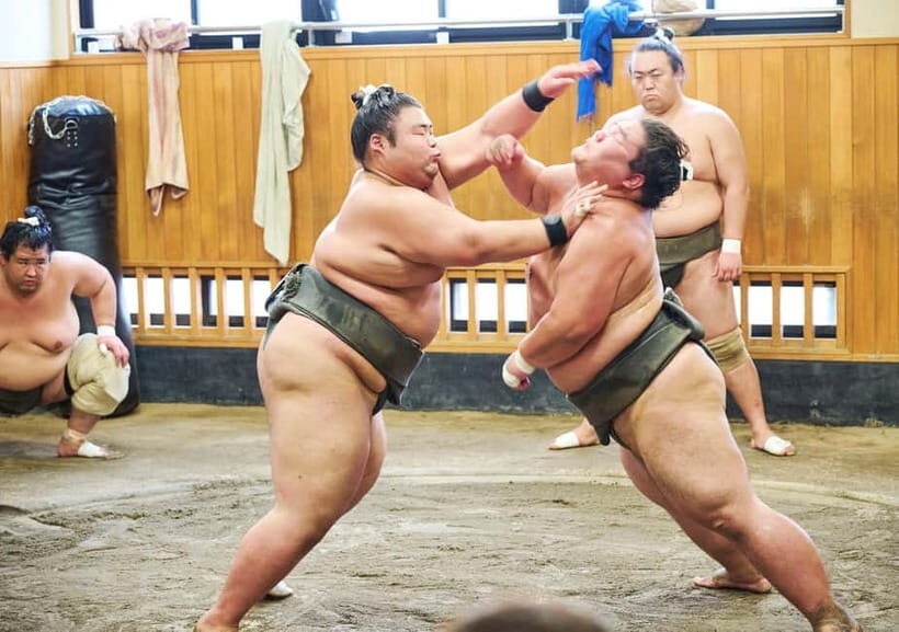 Tokyo: Sumo Morning Practice Viewing Tour at a Real Stable - Sitting ringside: the training session etiquette you must follow