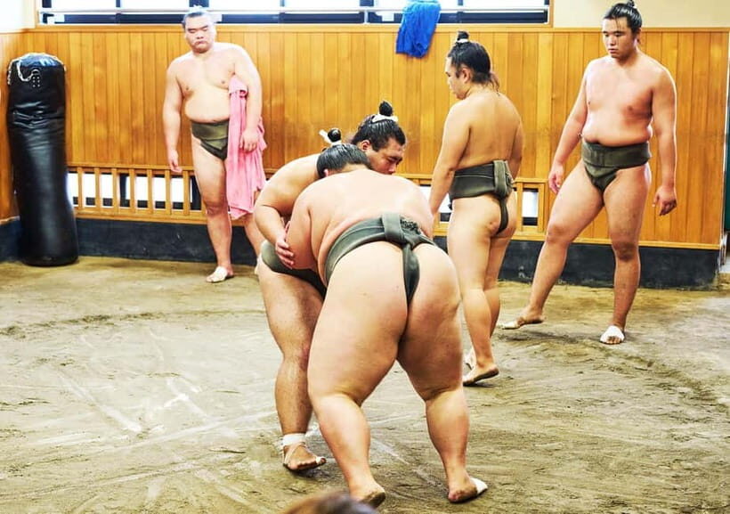 Tokyo: Sumo Morning Practice Viewing Tour at a Real Stable - Speaking with wrestlers outside training hours (and keeping it respectful)