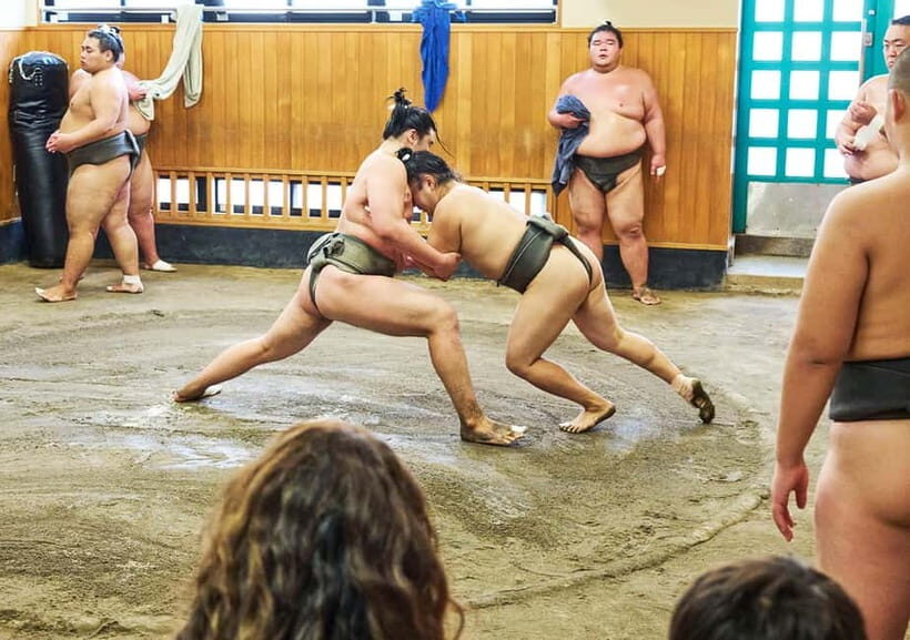 Tokyo: Sumo Morning Practice Viewing Tour at a Real Stable - Train timing, late arrivals, and why your morning should be boring