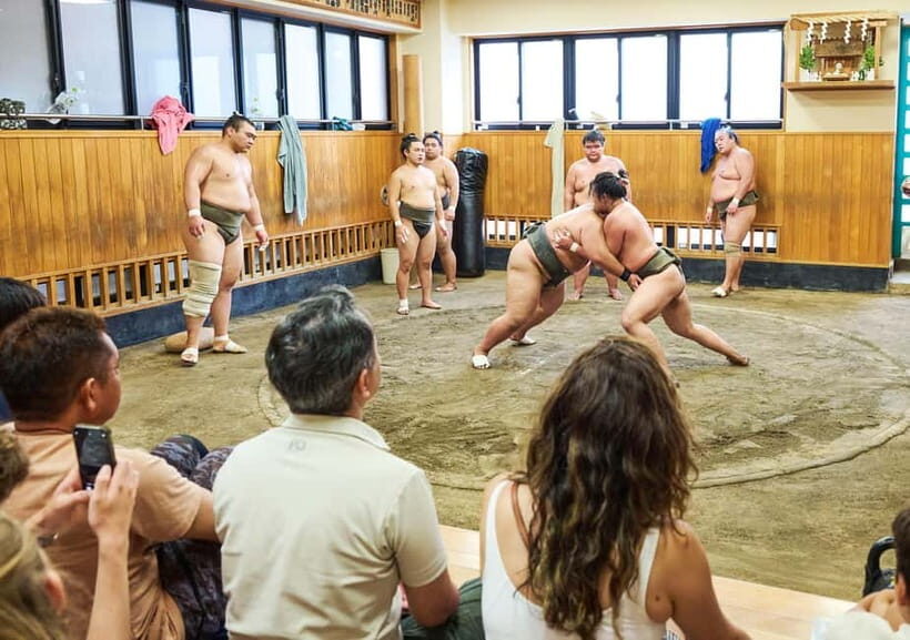 Tokyo: Sumo Morning Practice Viewing Tour at a Real Stable - Price and value: what $98 buys you in the real world
