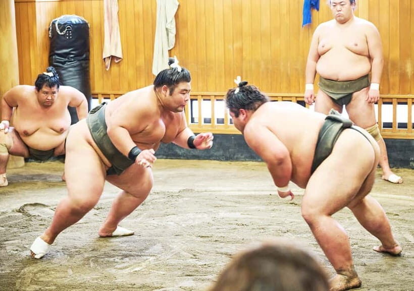 Tokyo: Sumo Morning Practice Viewing Tour at a Real Stable - Meeting at Kiyosumi-Shirakawa and the morning plan