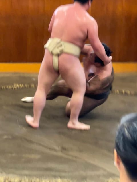Tokyo: Sumo Morning Practice with Photo Banzuke and Guide - Sumo practice in Tokyo: why this access is special