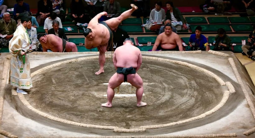 Tokyo: Sumo Tournament with Guide & Assigned Reserved Seat - Should you book this sumo tournament with guide and reserved seat?