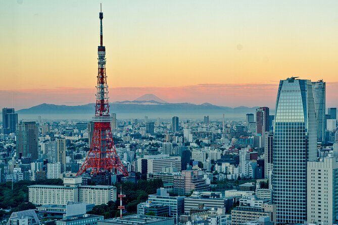 Tokyo Tailored 4 Hours Private Guided Tour - Key things to know before you go