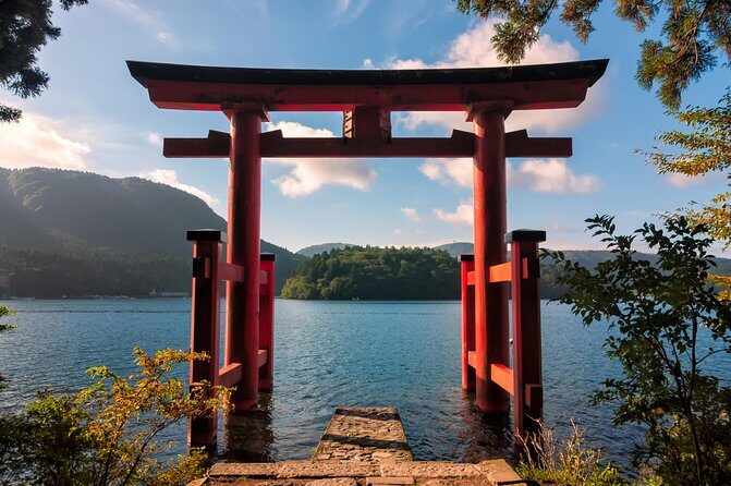 Tokyo to Hakone | Private and Personalized Day Trip with a Local - Riding out of Shinjuku: Romancecar to Hakone in one smooth move