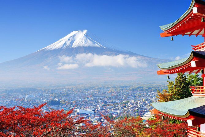 Tokyo to Hakone | Private and Personalized Day Trip with a Local - The “private and personalized” promise: what you actually gain
