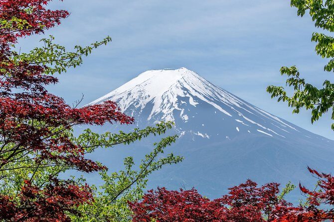 Tokyo to Hakone | Private and Personalized Day Trip with a Local - Price and value: is $373.25 per person worth it?