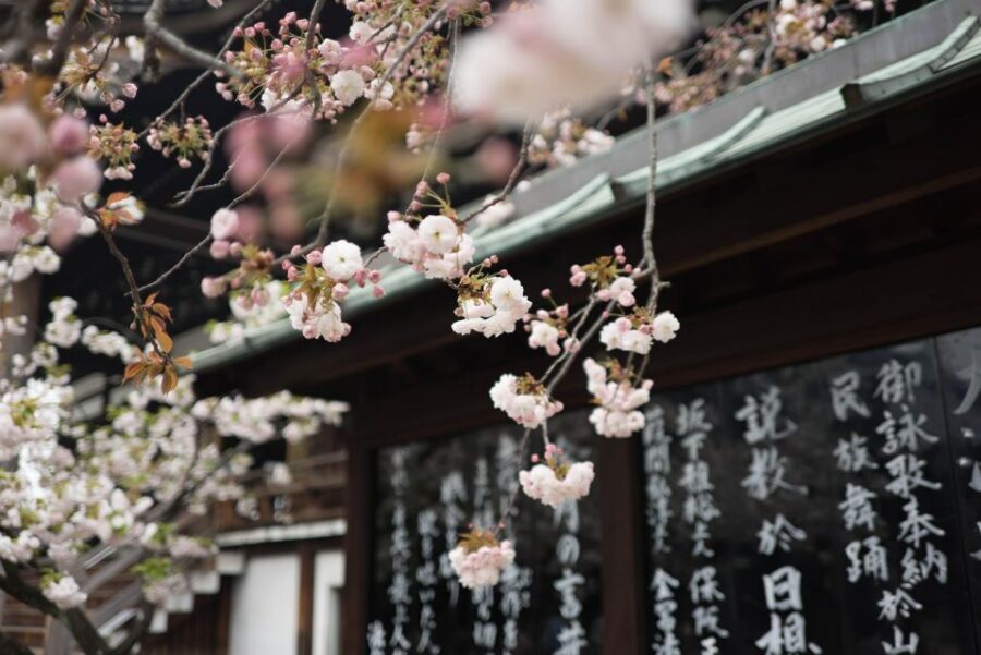 Tokyo to Kawagoe: Private Historical Day Trip - Price and logistics: what $264 buys you (and what it doesn’t)